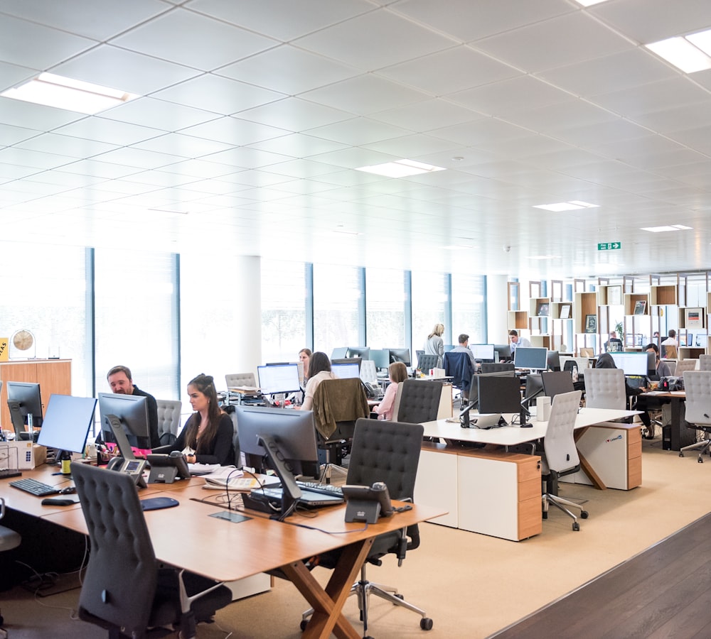 A busy open-plan office full of staff